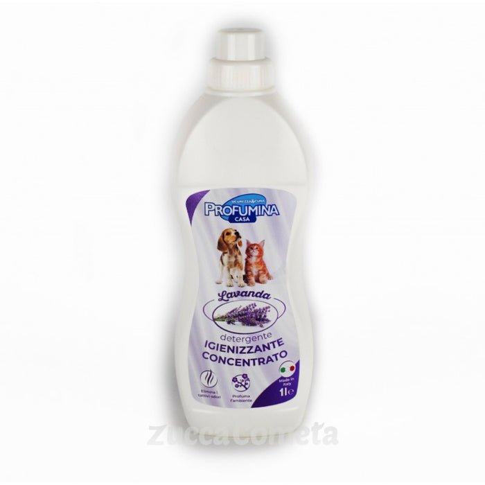 Detergente igienizzante concentrato pavimenti e cucce – Lavanda - Profumina