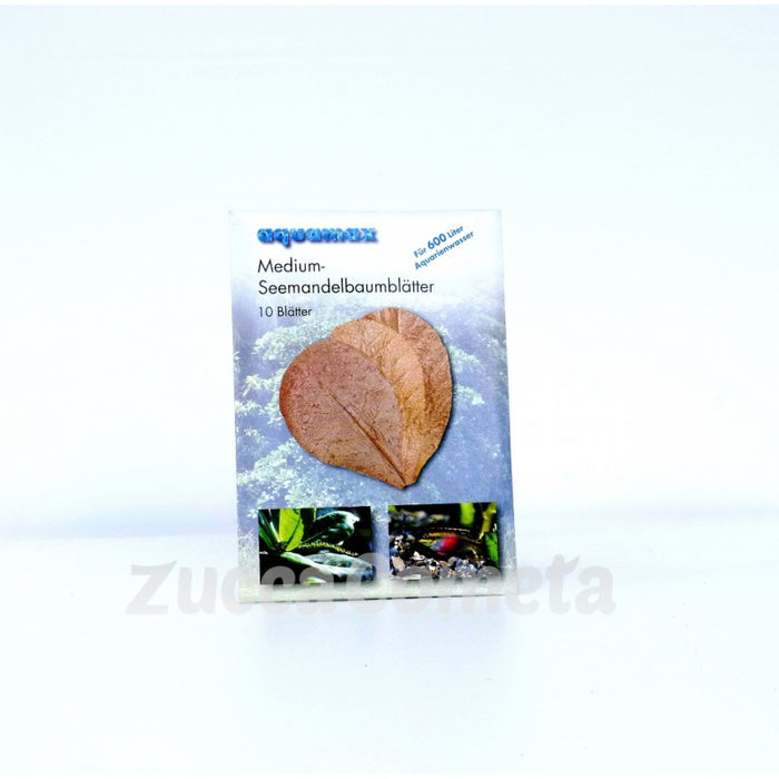 Foglie di mandorlo indiano (Catappa) - medium - Aquamax