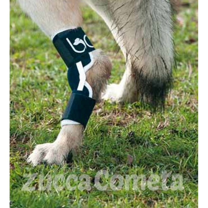 BT HOCK - tutore del garretto - cane - Balto