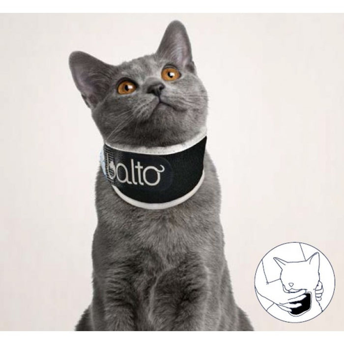 BT NECK ECO CAT - collare antileccamento - gatto - Balto