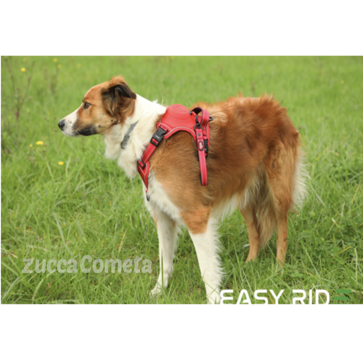 Easy Ride - pettorina per cani con arrotolatore guinzaglio incorporato - Zolux